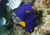 Filename=16.jpg
Filesize=89KB
Dimensions=650x458
Date added=Dec 08, 2009 16.jpg
