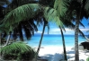 Filename=hawaii-beach.jpg
Filesize=81KB
Dimensions=519x353
Date added=Oct 07, 2009 hawaii-beach.jpg